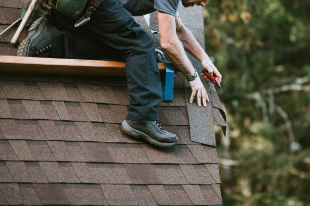 Best Gutter Installation and Roofing  in Dunlap, OH