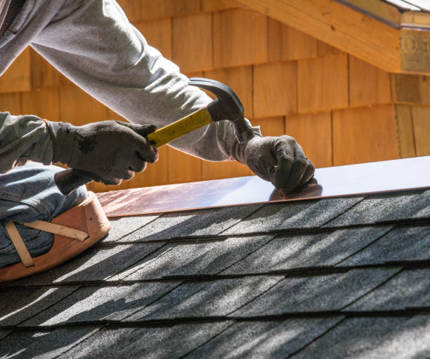 Roof Gutter Cleaning in Dunlap, OH